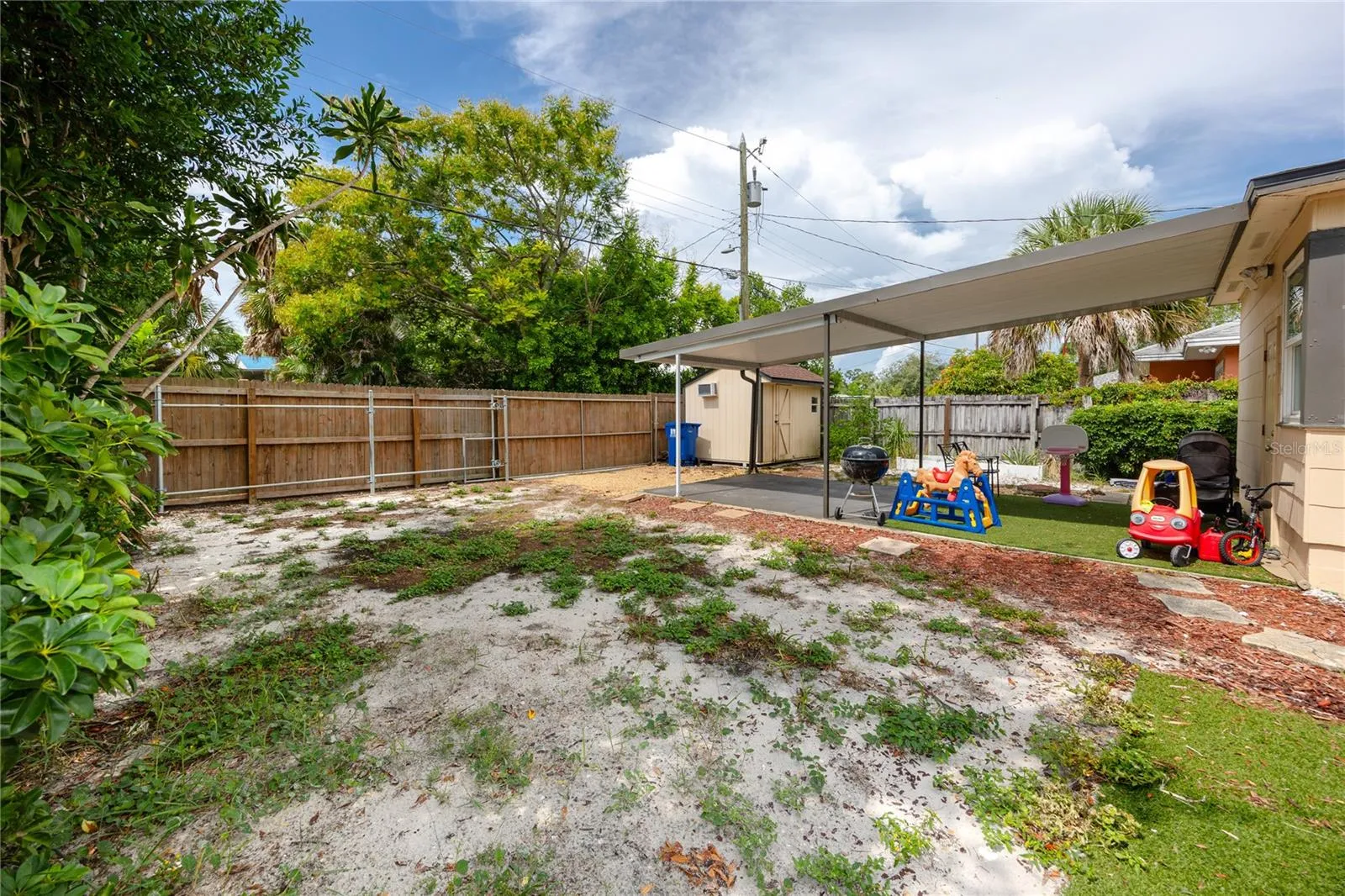View of backyard