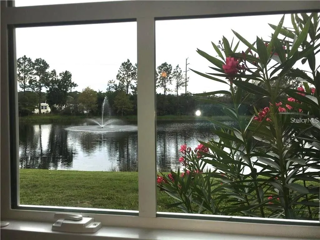 View from the primary bedroom window.