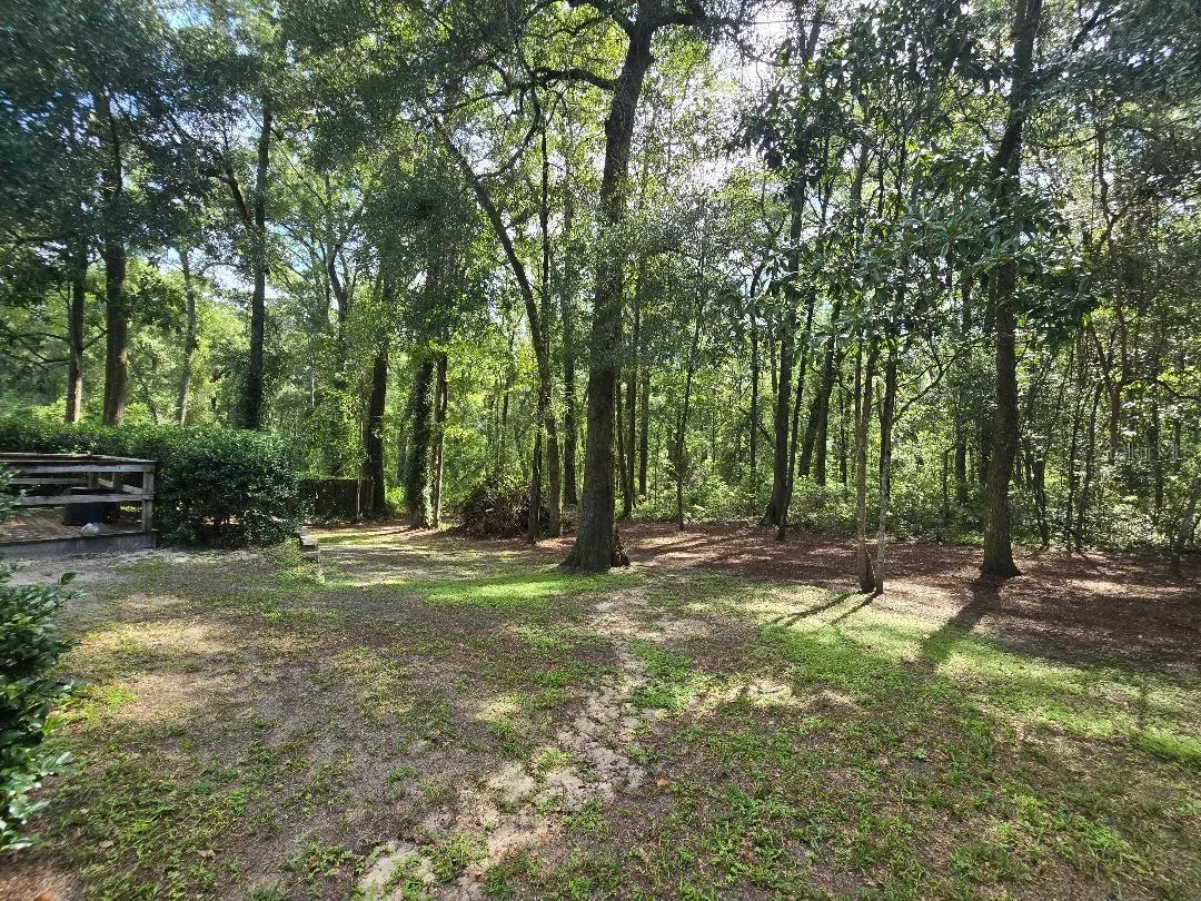 Sloping back yard. Great views of the woods!