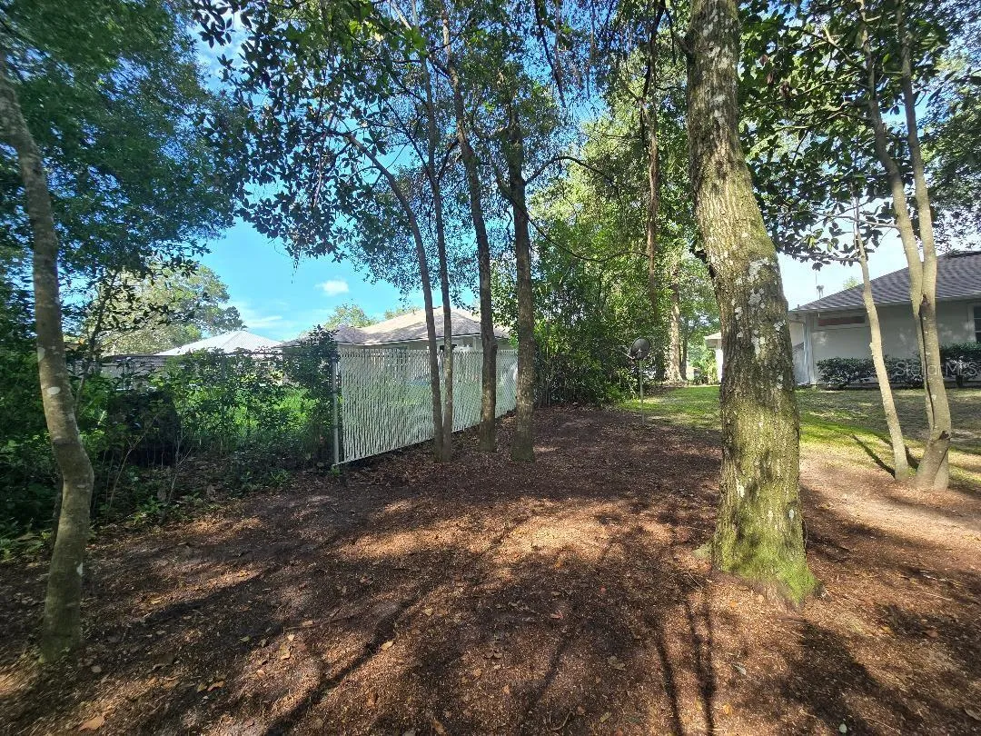 Back yard, privacy fenced