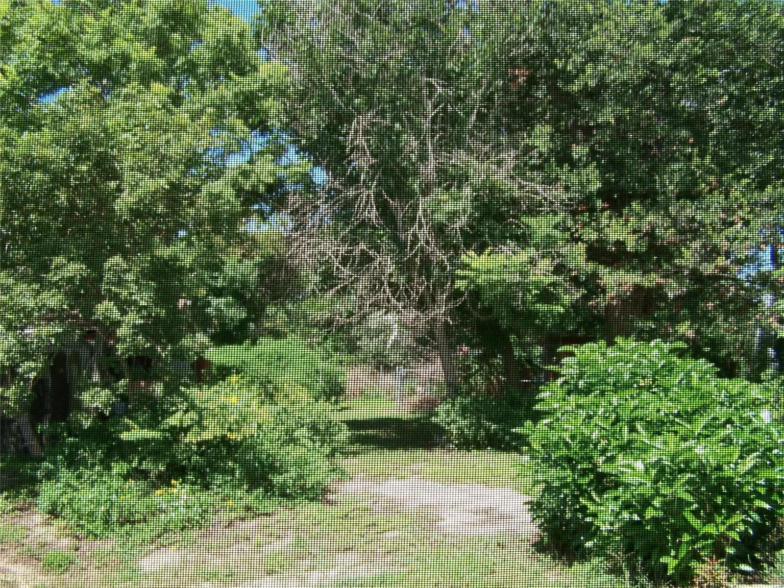 6061 Strickland Ave, Lakeland, Florida 33812 — photo 37