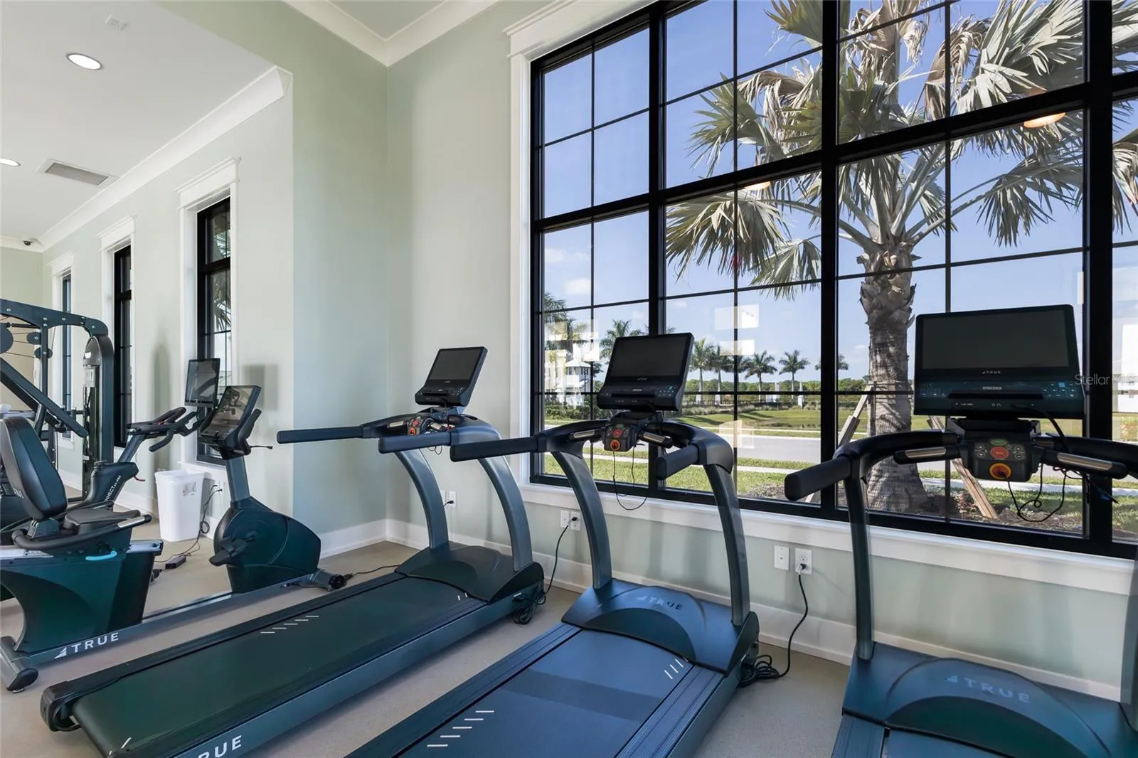 Community Gym