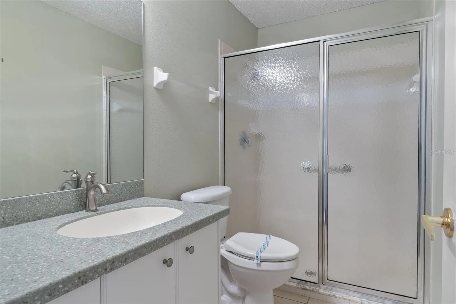 guest bath with walk in shower, stone counter top