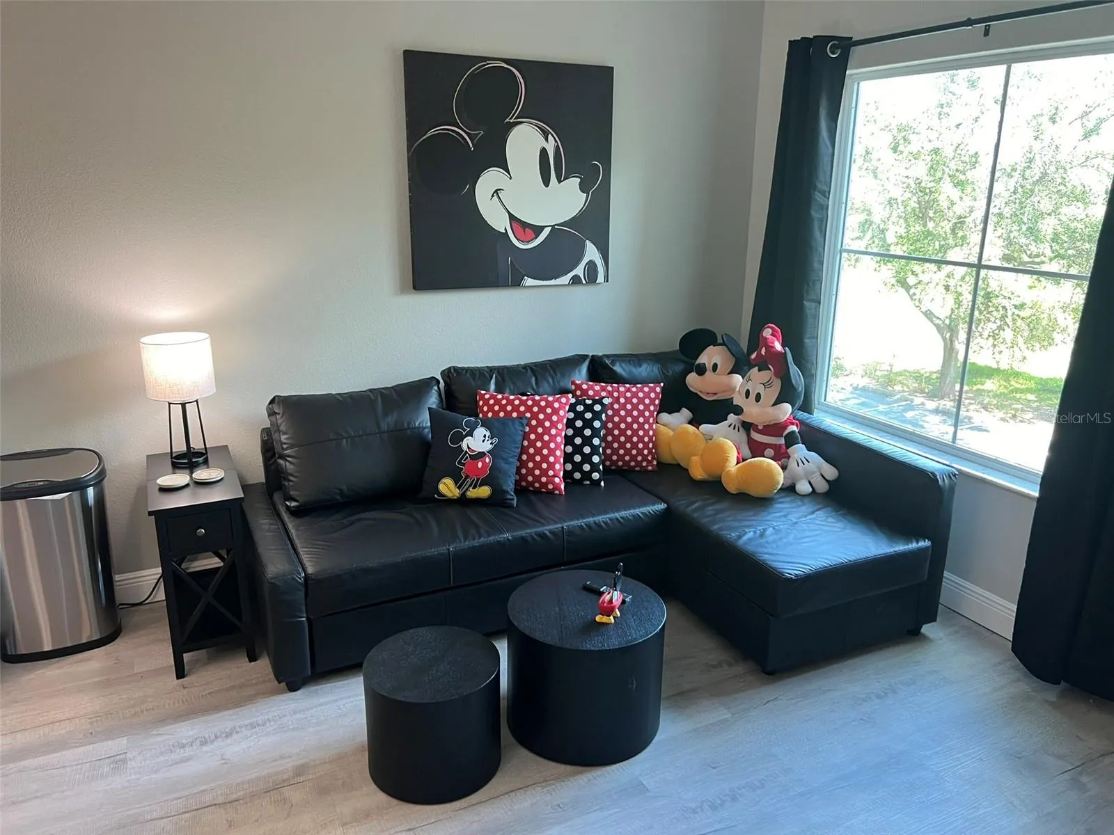 Living Room with couch that coverts to a bed