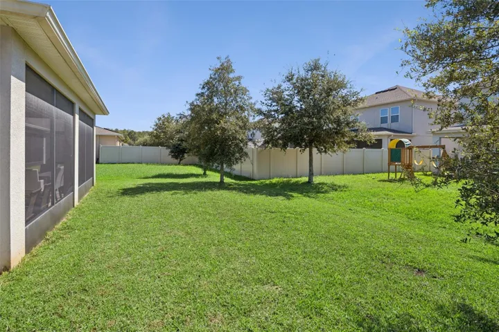 Lush Green Back Yard