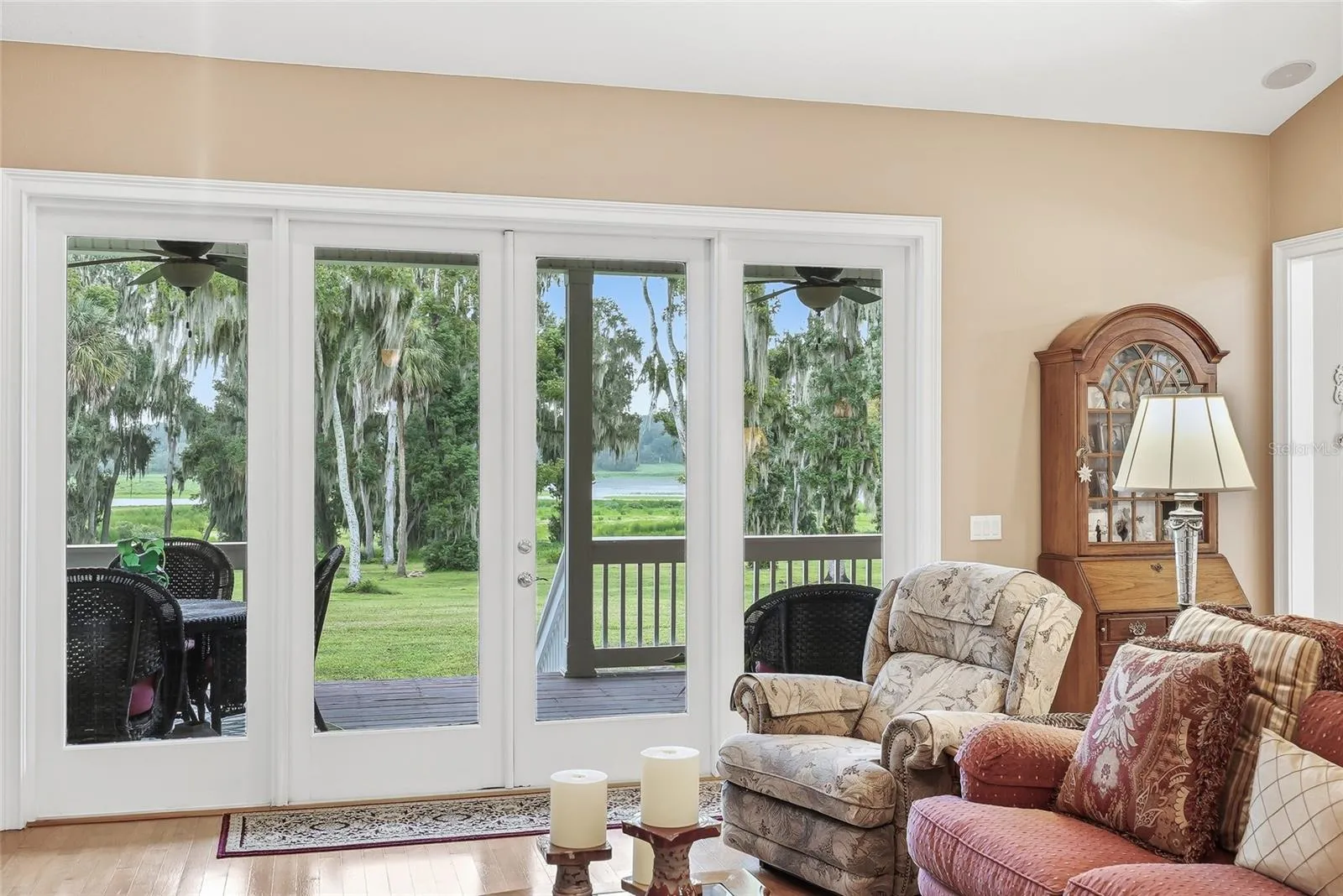 Living Room Window