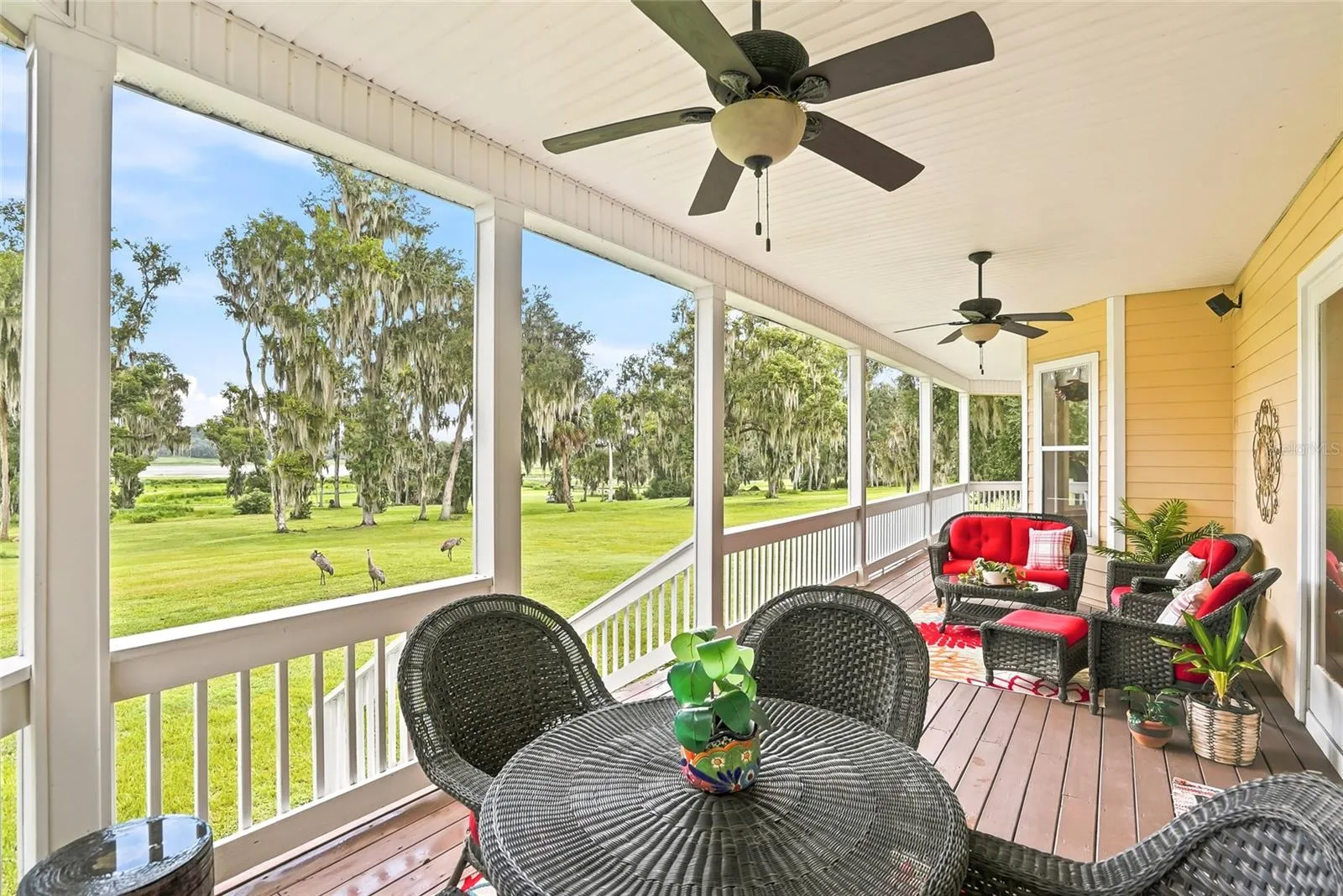 Back Porch