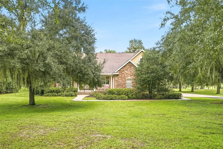 Front Yard