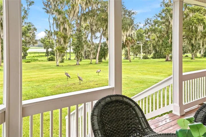 Back Porch