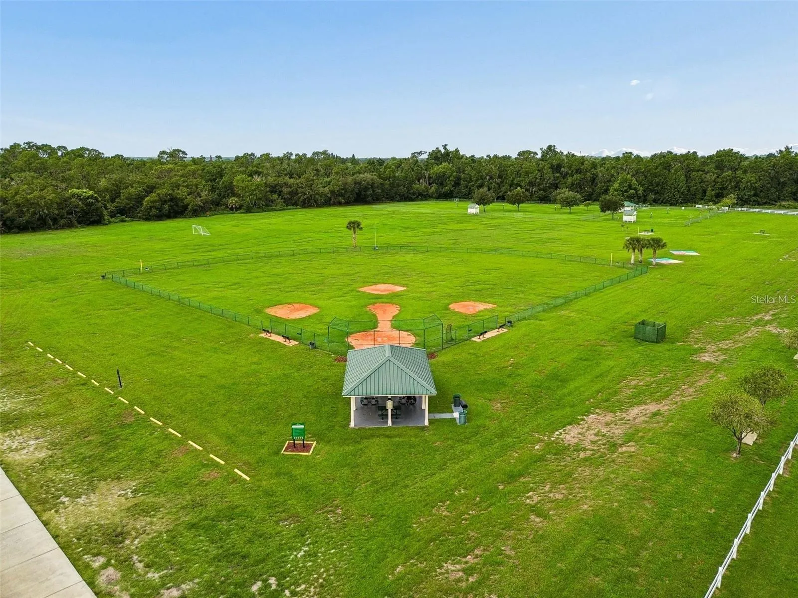 4302 Longfellow Dr, Plant City, Florida 33566 — photo 52
