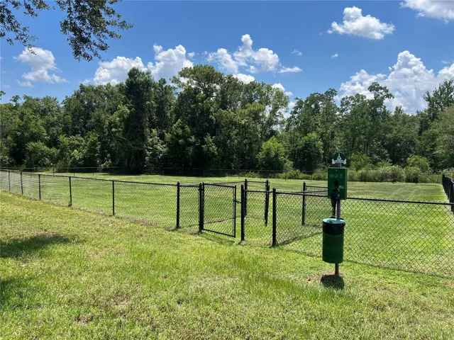 Dog Park