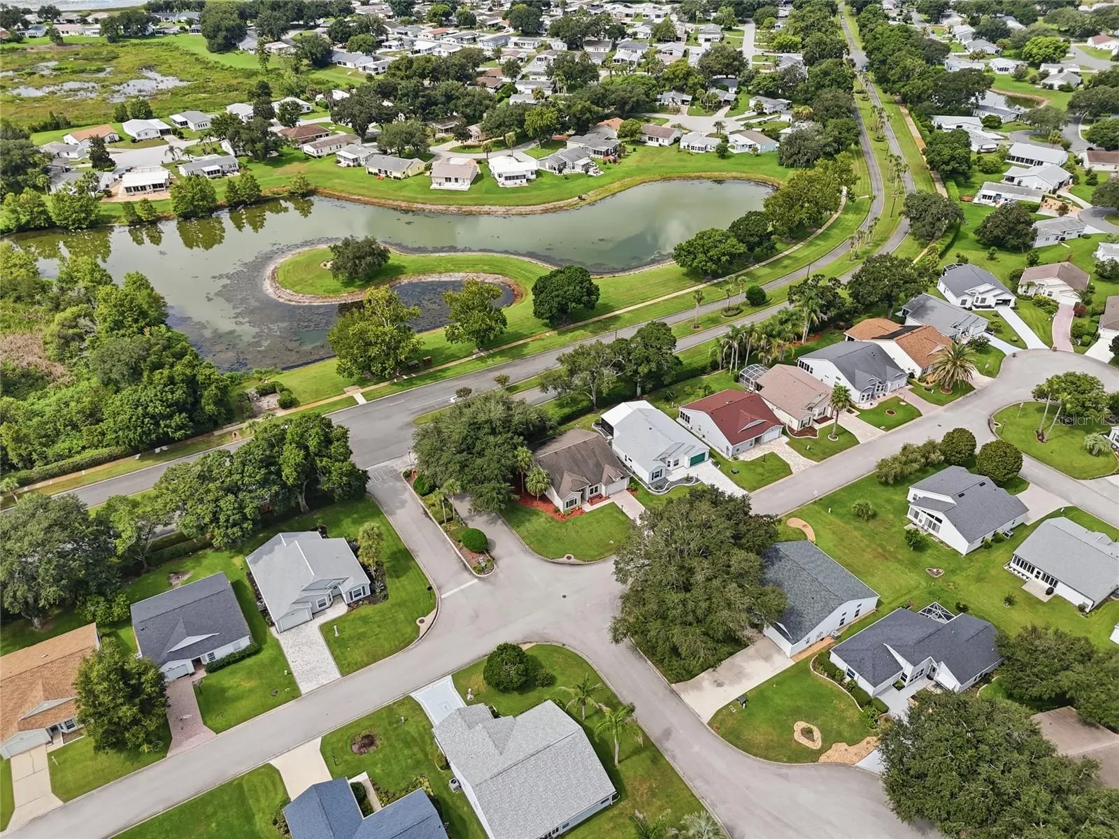 Aerial View of the Neighborhood