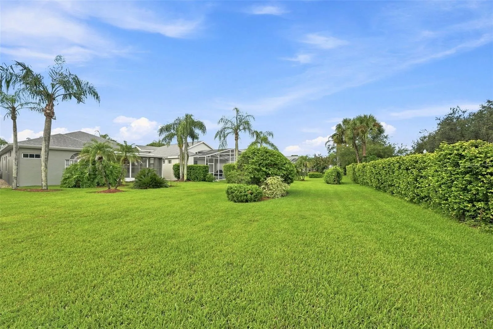Lush Tropical Backyard - Maintenance Free Living