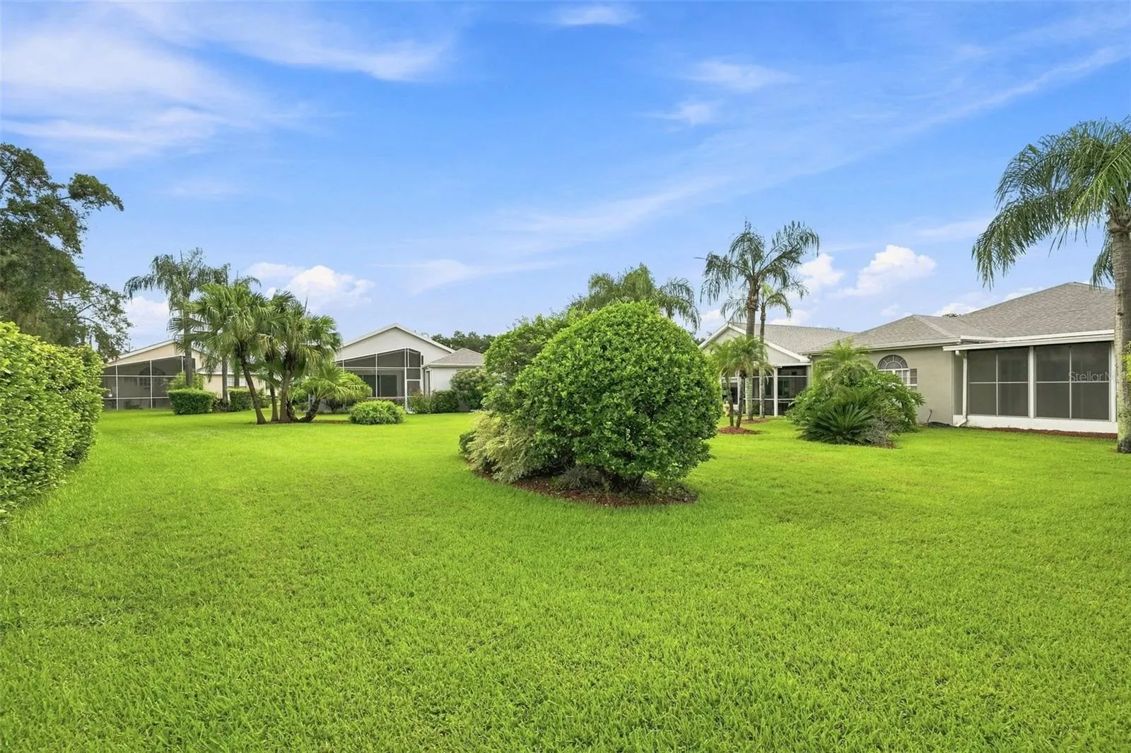 Lush Tropical Backyard - Maintenance Free Living