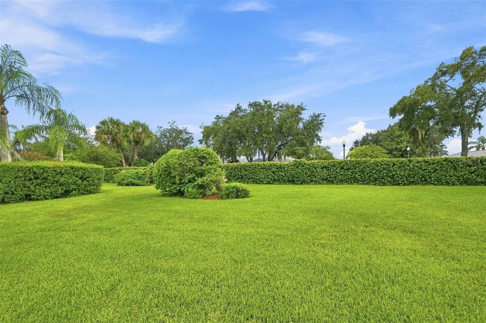 Lush Tropical Backyard - Maintenance Free Living