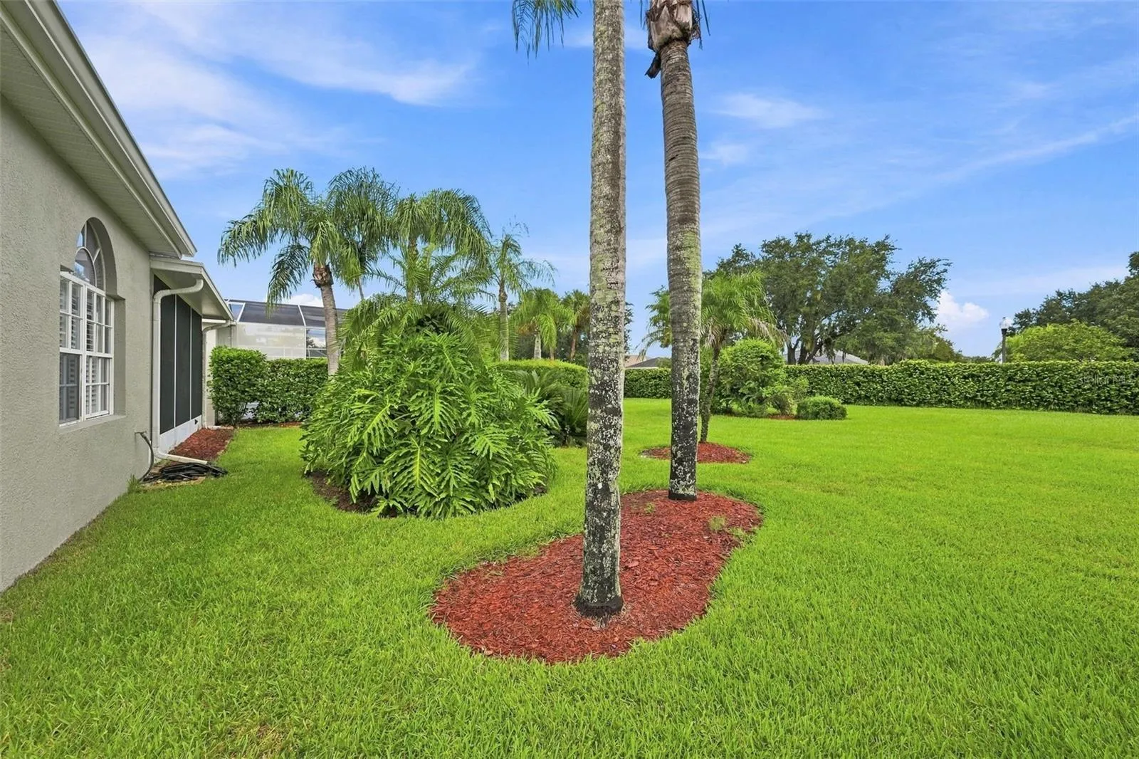Lush Tropical Backyard - Maintenance Free Living