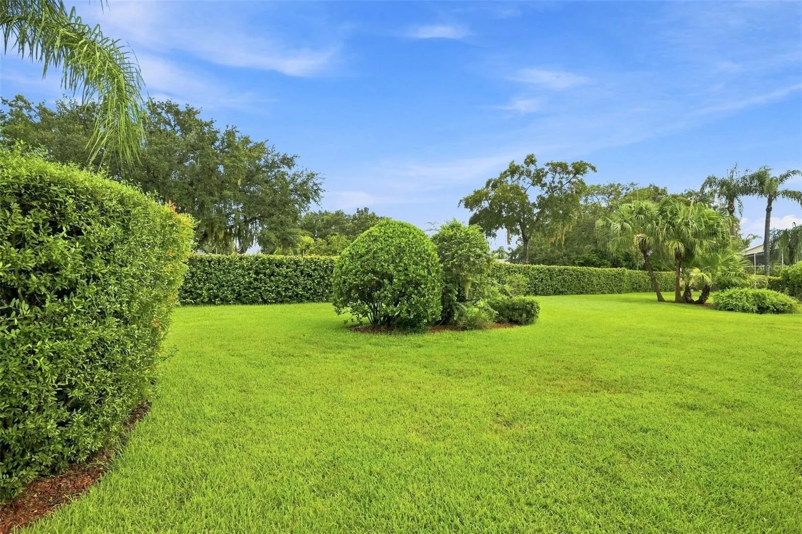 Beautiful backyard maintained by the HOA