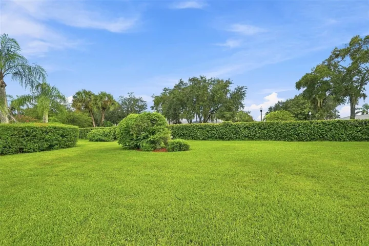 Lush Tropical Backyard - Maintenance Free Living