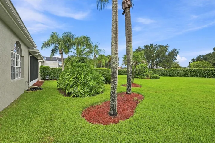 Lush Tropical Backyard - Maintenance Free Living