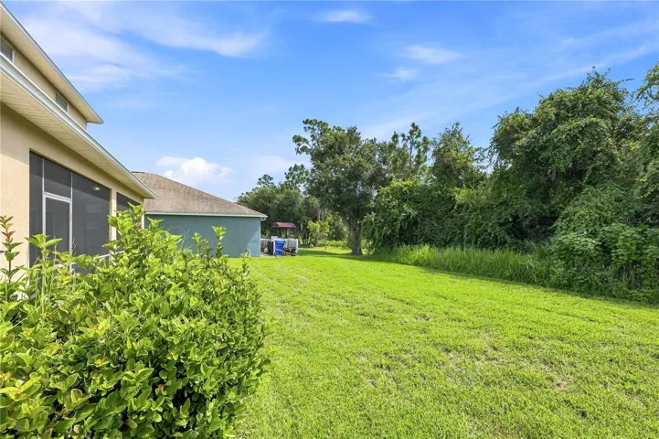 Spacious Backyard