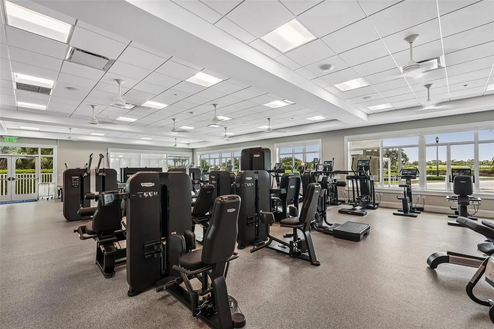 Wellness Workout Area