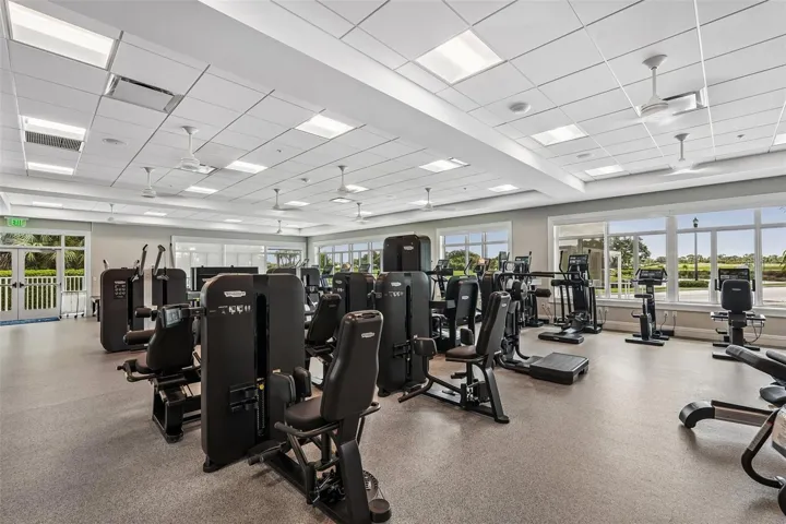 Wellness Workout Area