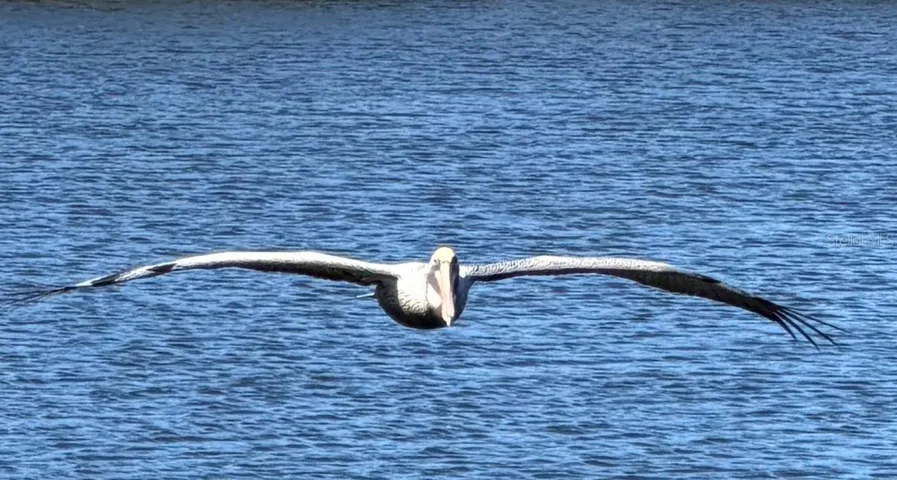1170