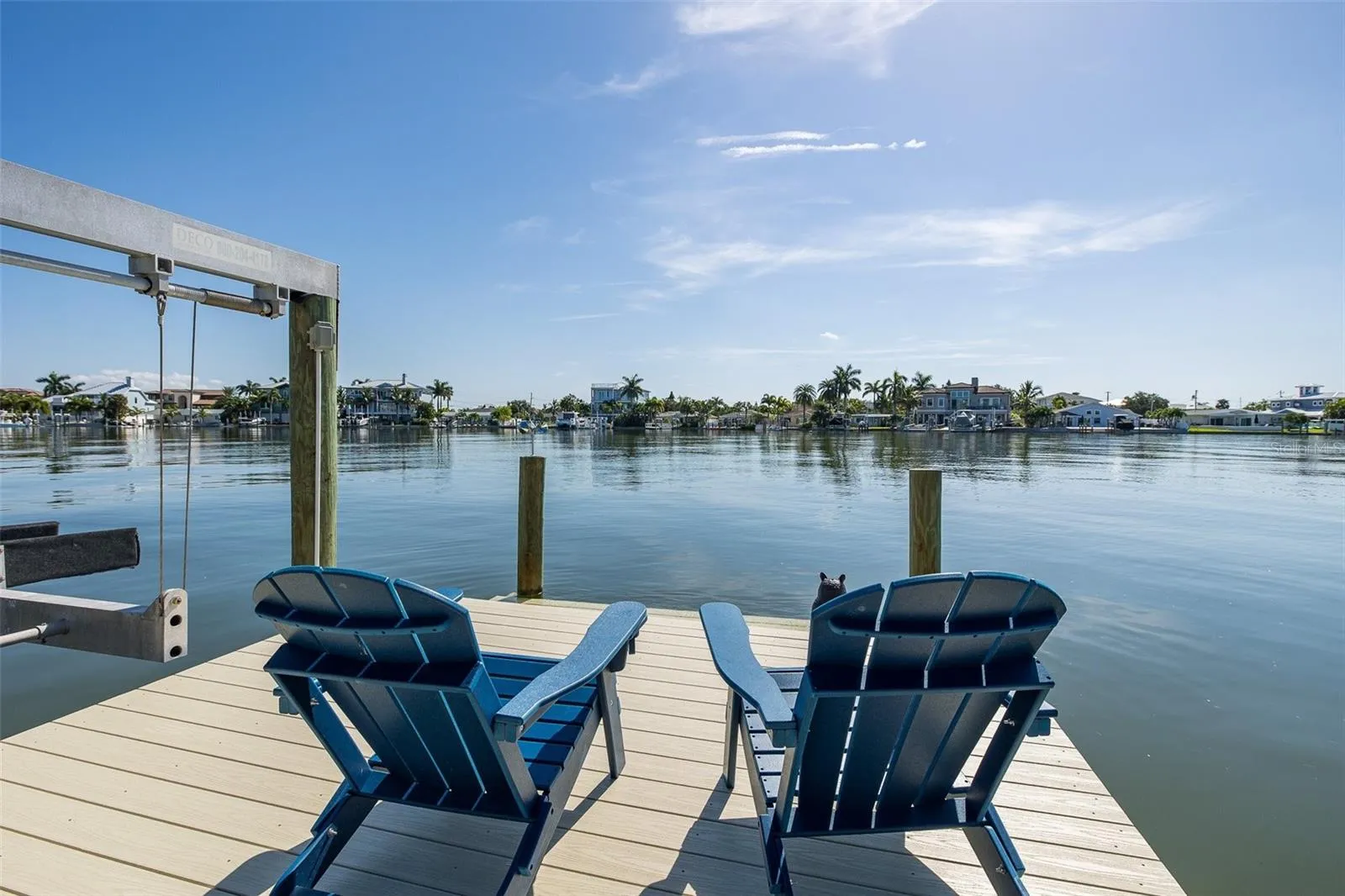 Enjoy cocktails while dolphin watching