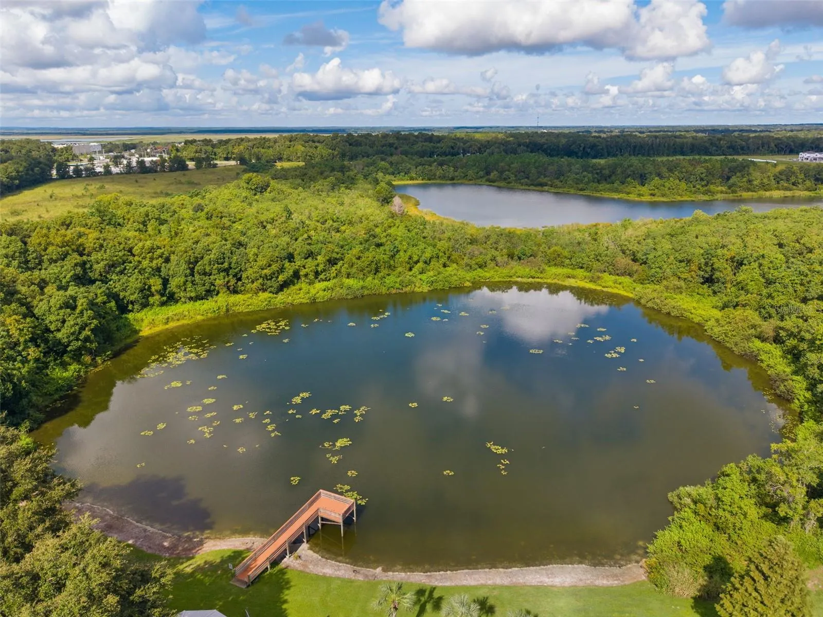 Lake Grassmere and Dock
