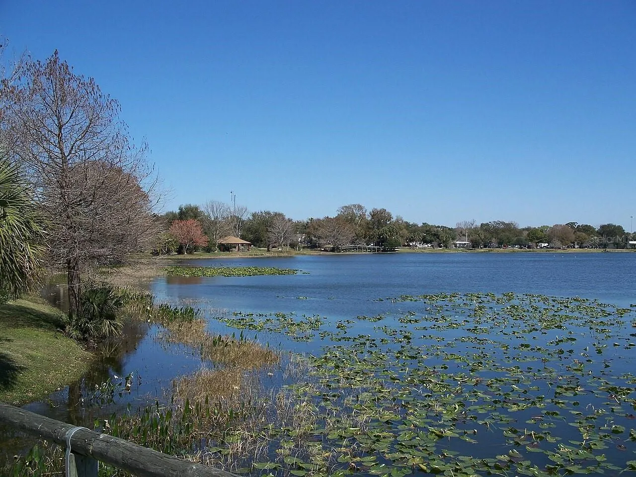 View of Lake Harris from Venetian Gardens: CC BY-SA 2.5 — Ebyabe