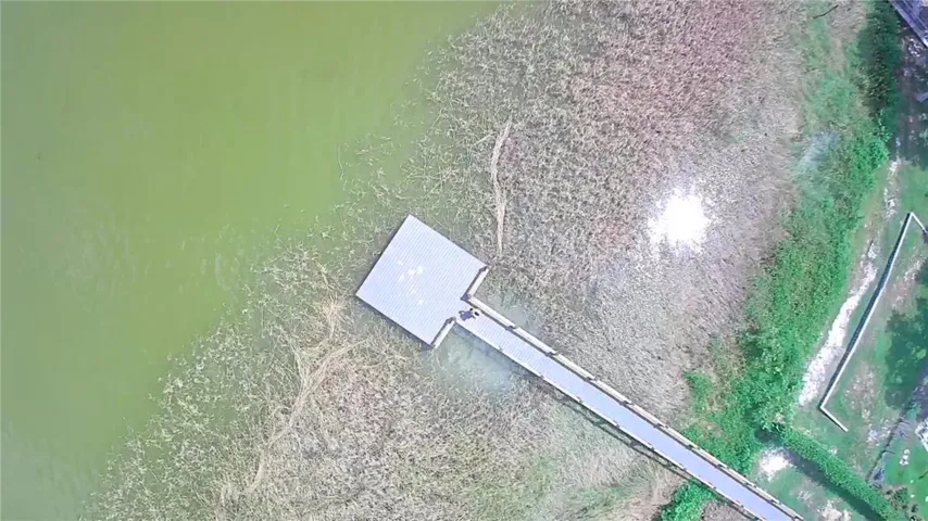 Majestic Oaks Recreational Platform