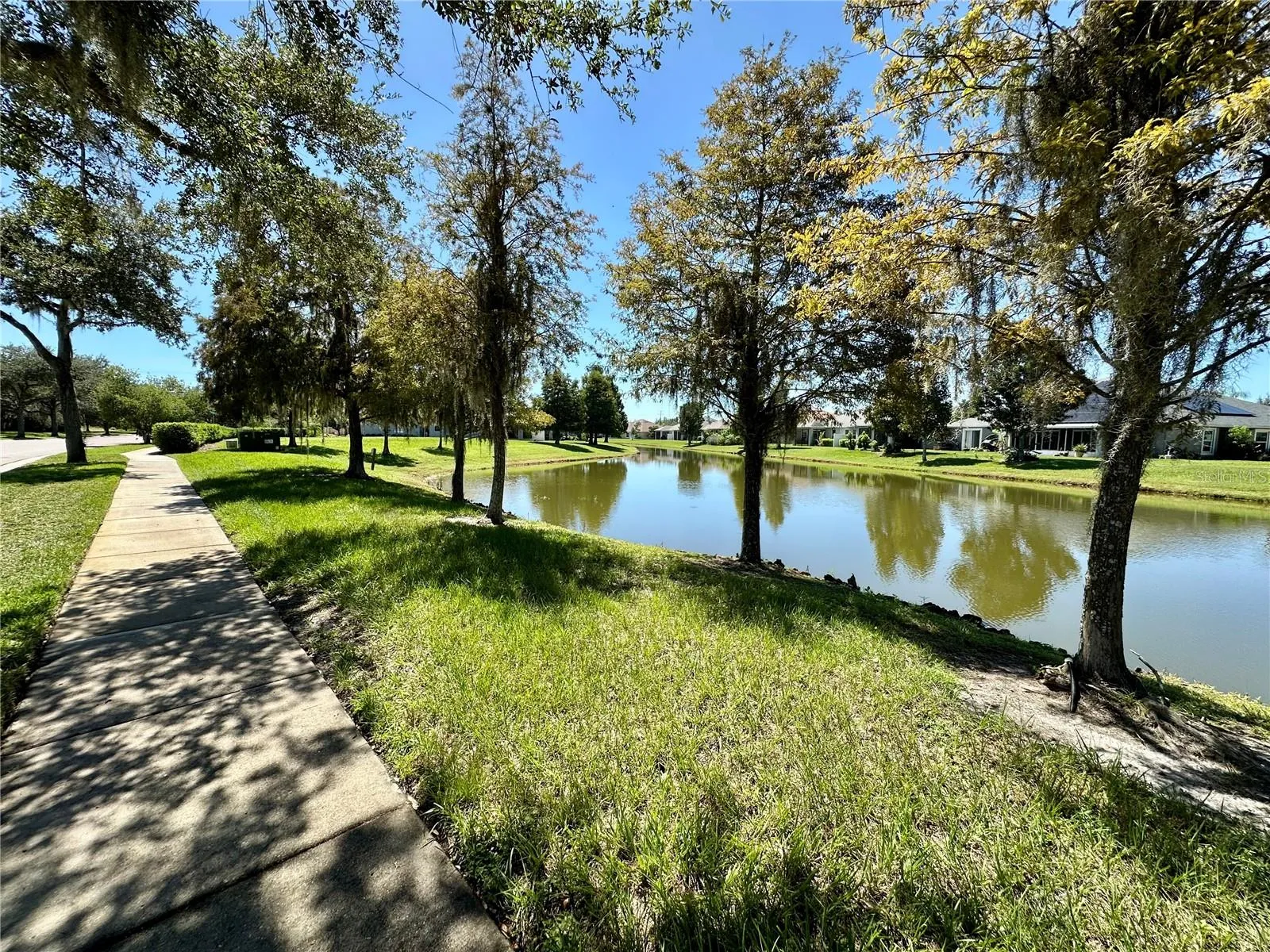 Beautiful neighborhood to walk in!