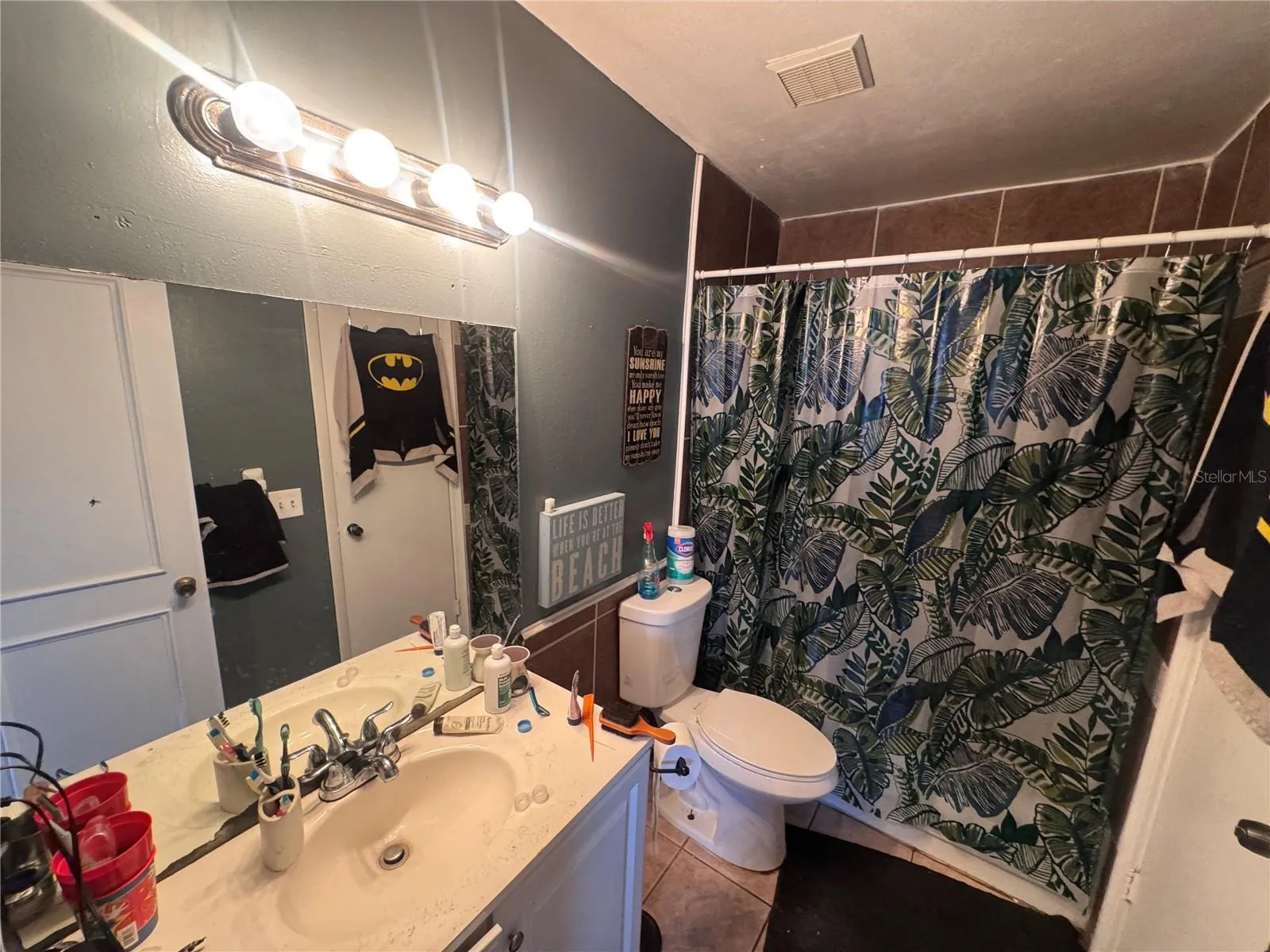 Downstairs Guest Bathroom