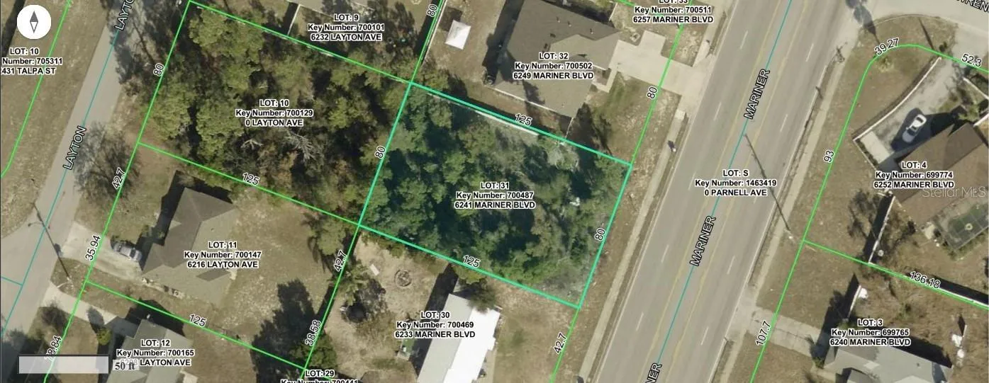Aerial GIS Photo