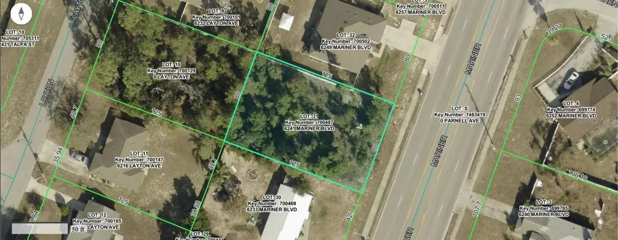 Aerial GIS Photo