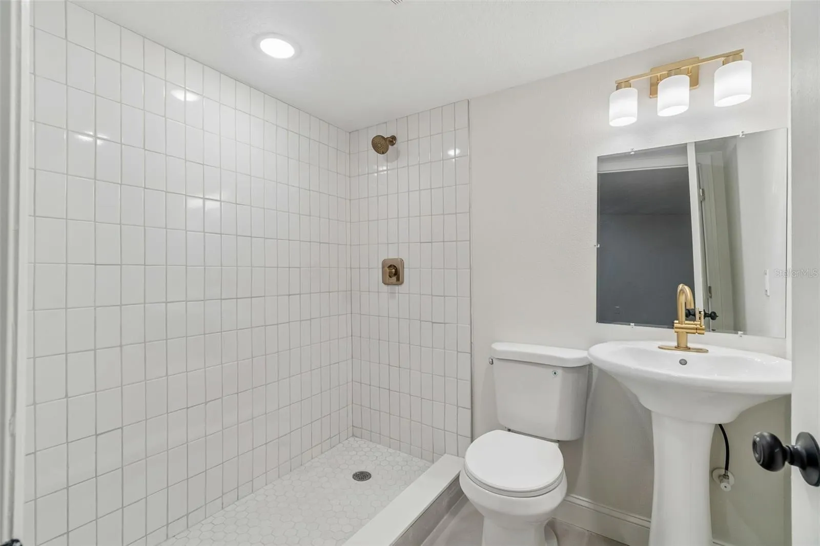 mother-in-law bathroo