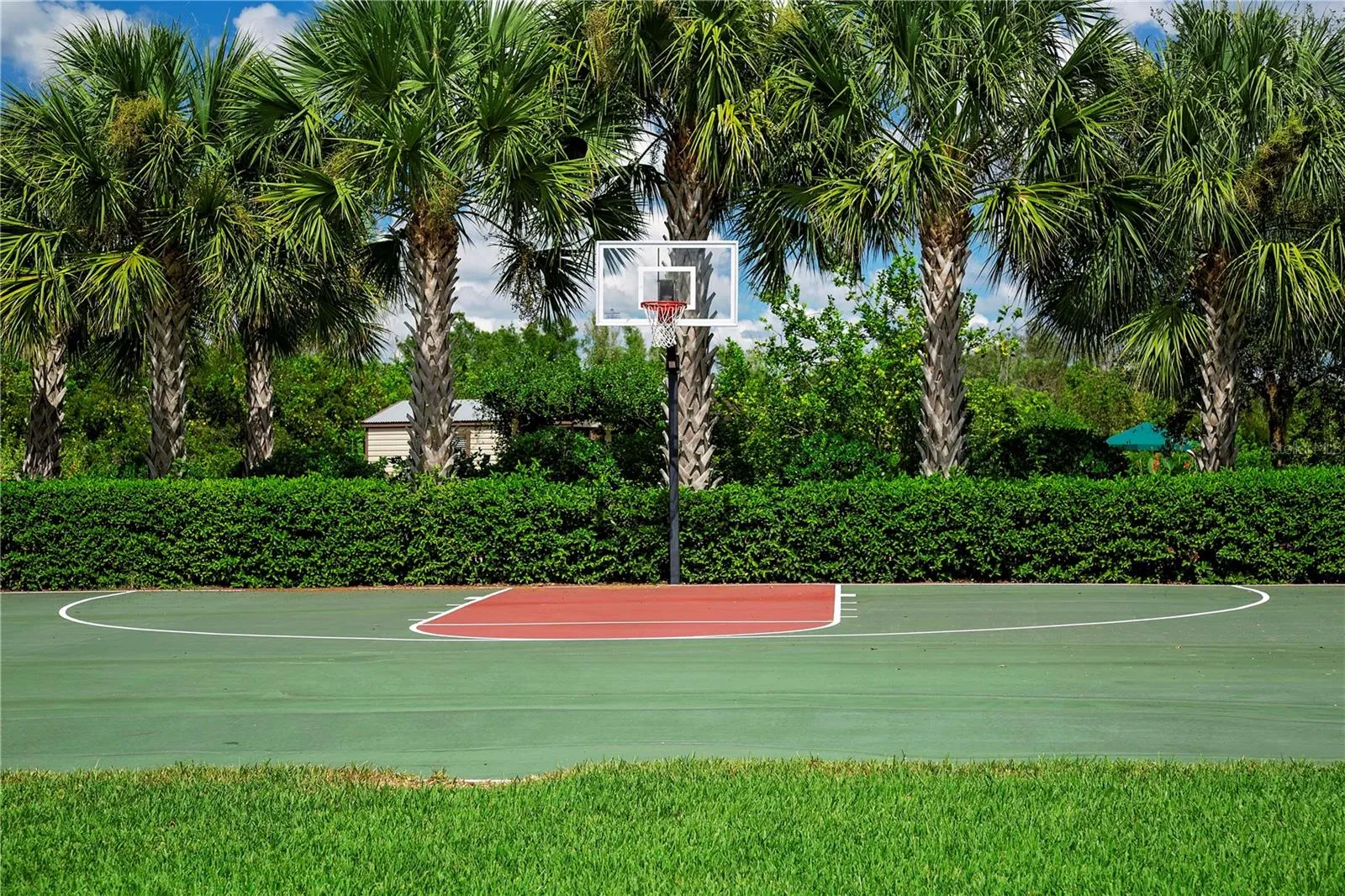 Want to shoot a couple of baskets?