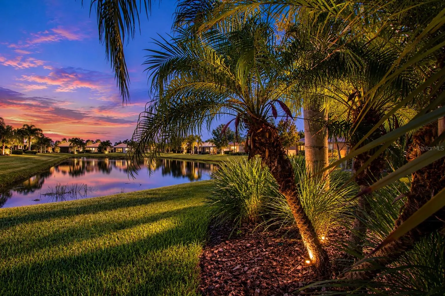 Sunset view