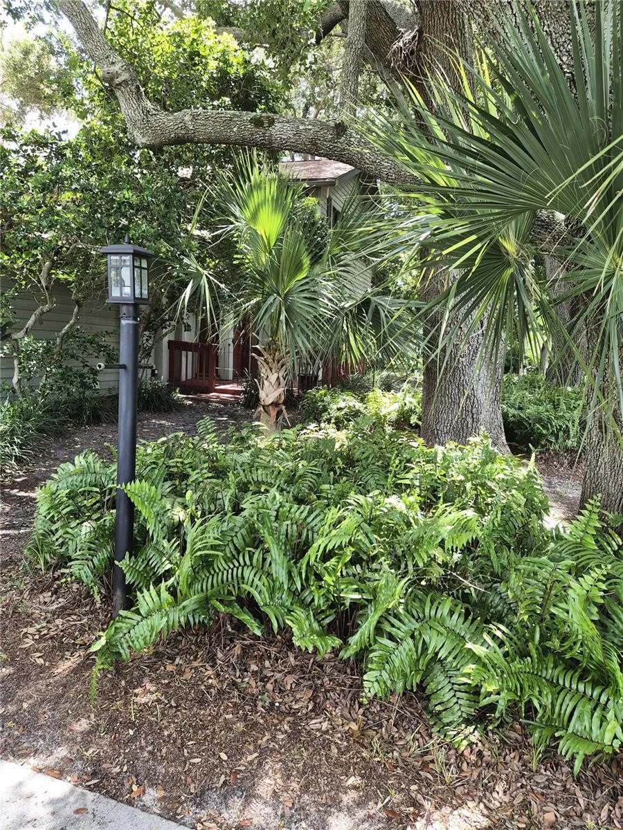 Landscaping