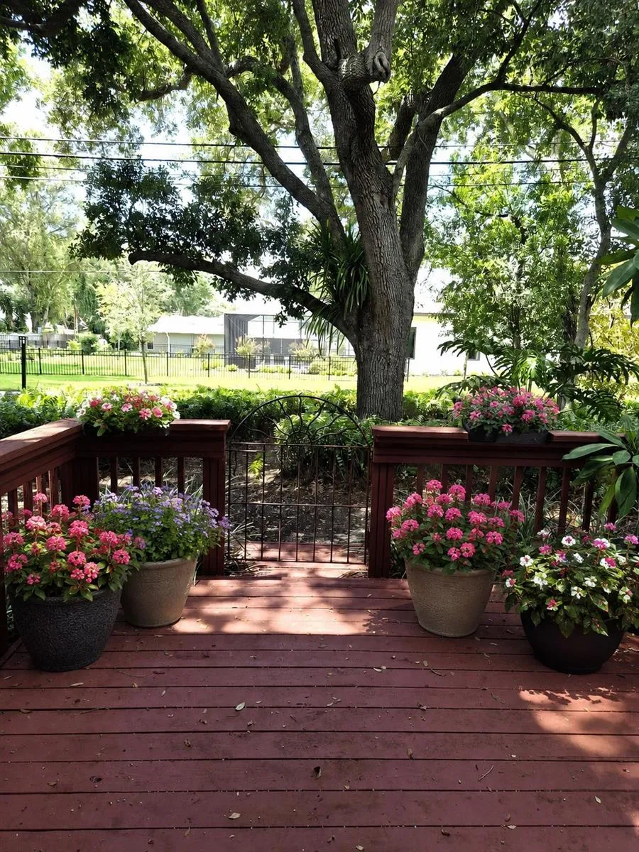 Virtual Front Porch