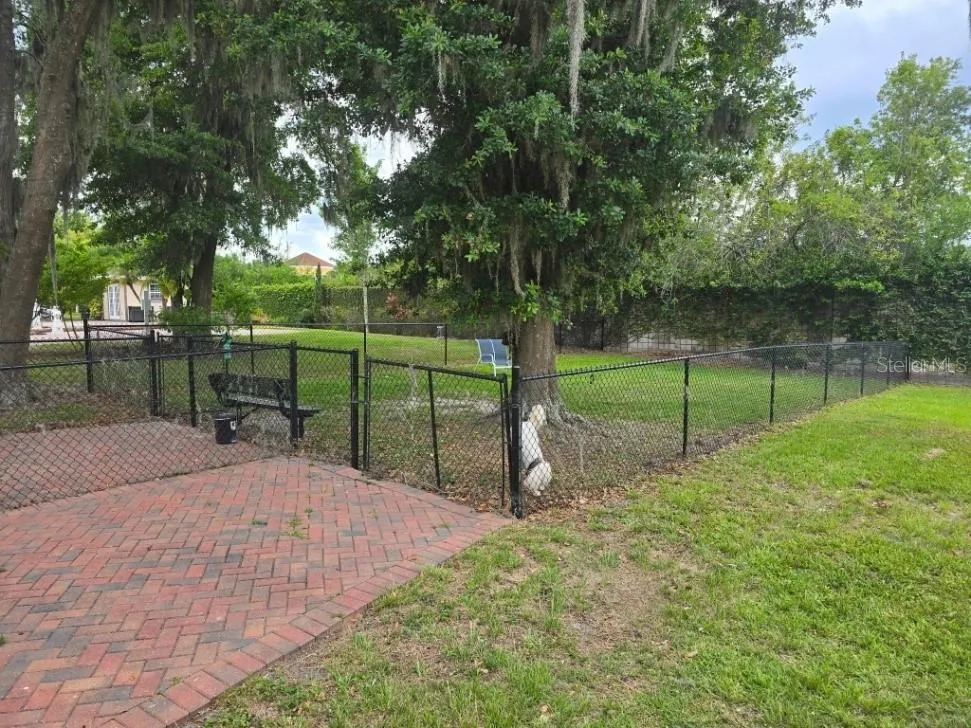 A great dog park.