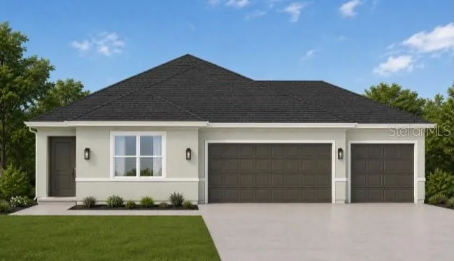 Street View Rendering