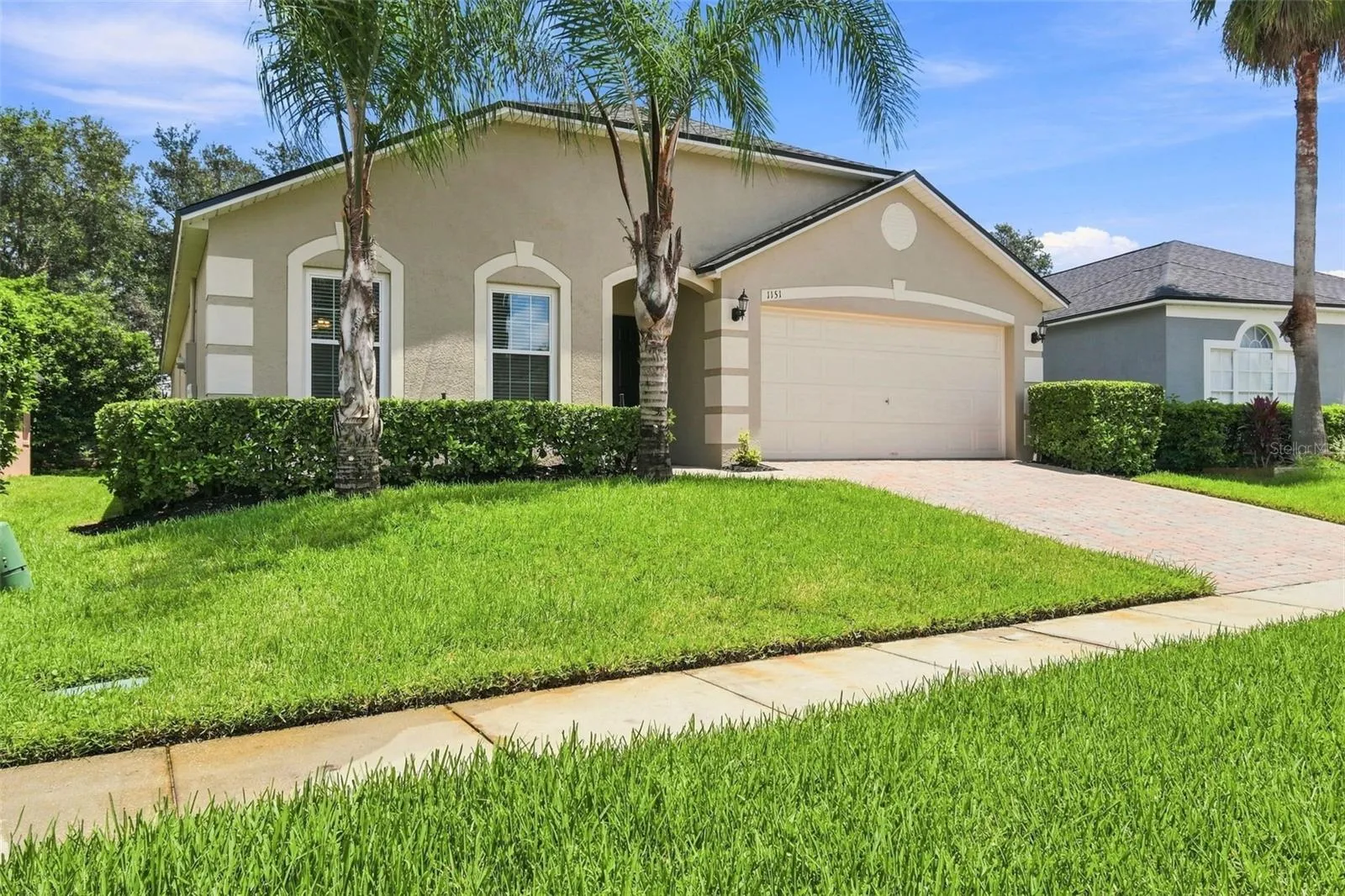 Maintained St Augustine Lawn