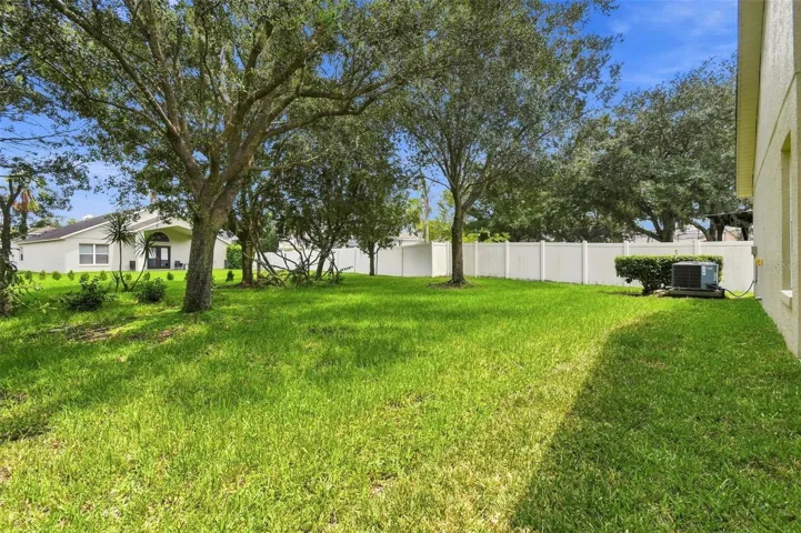Spacious Backyard