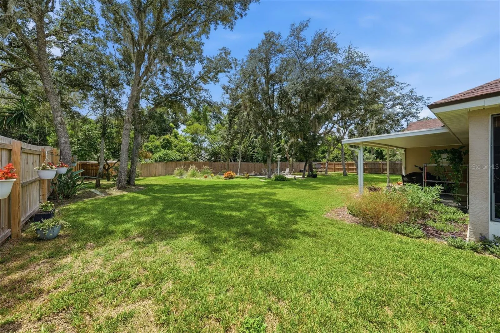Left side of backyard