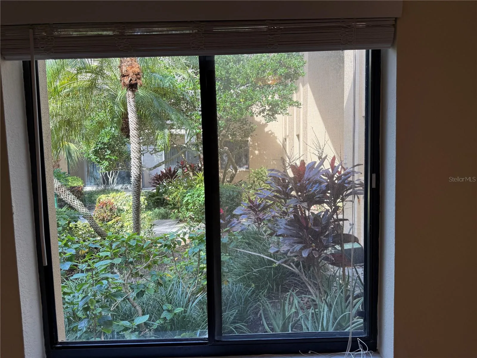 view from guest bedroom