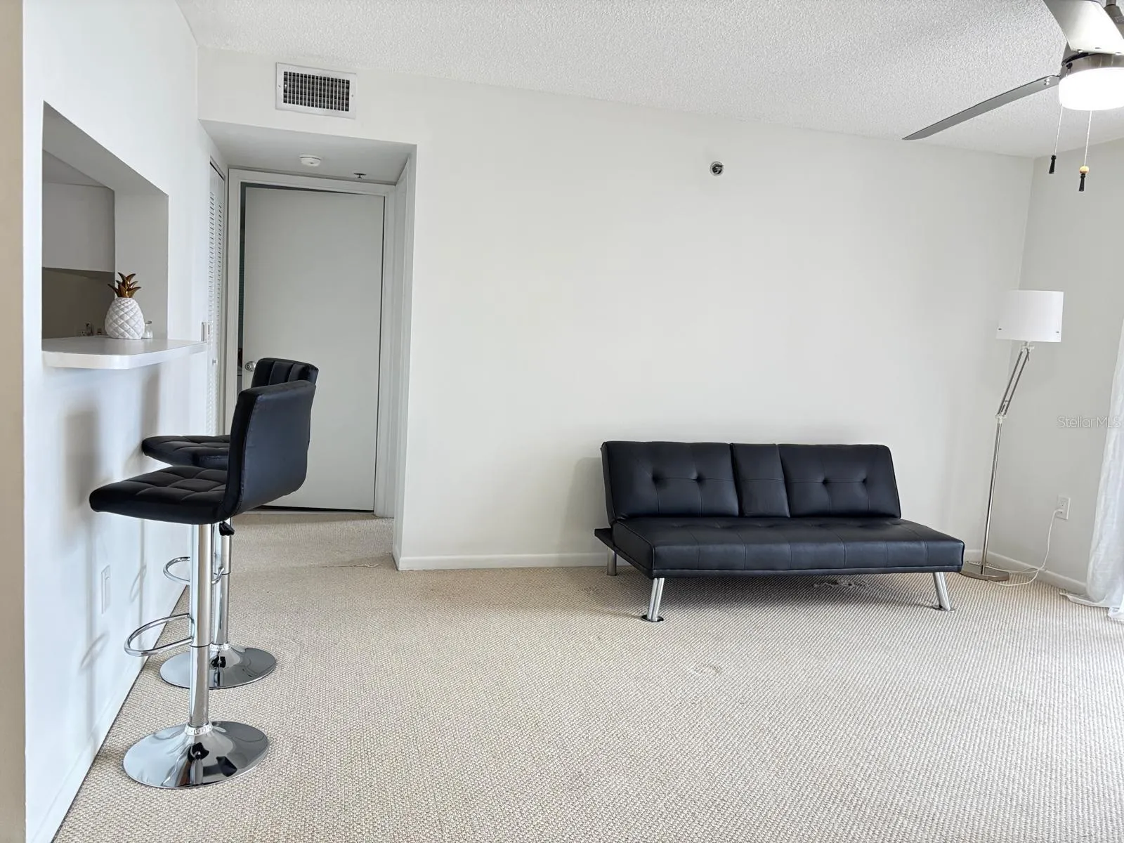 Livingroom View to Counter