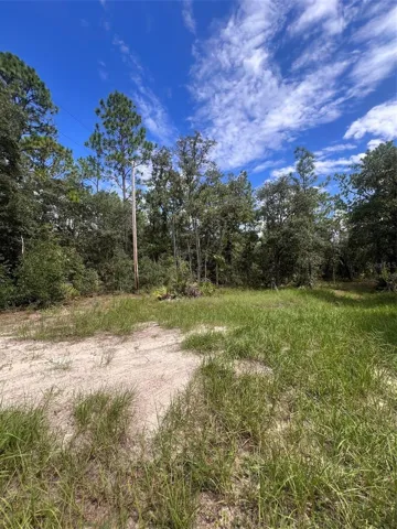 Property view from road