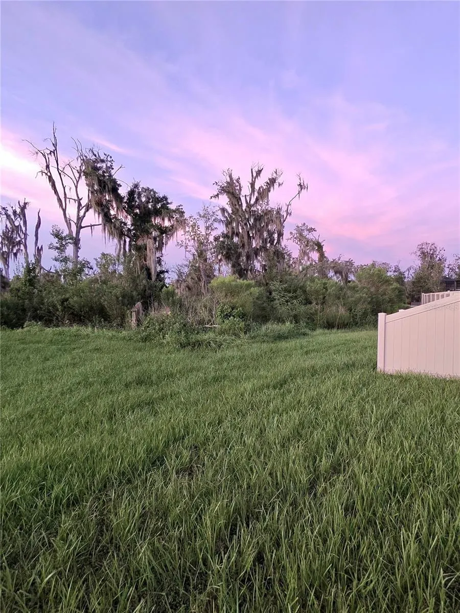 1663 Hazy Sea Dr, Plant City, Florida 33565 — photo 33