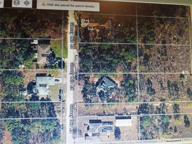 15368 Glossy Ibis is a 1/2 acre buildable vacant lot between existing homes